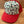 Geo Shapes Kids- Sale