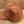 Corduroy Salmon Hat