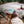 Technicolor/Large